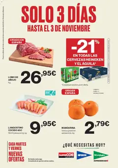 Vista previa las ofertas de la tienda El Corte Inglés - Catálogo desde el 31/10/2025 
