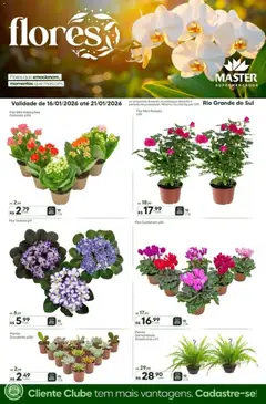 Pré-Visualização do folheto "Ofertas Flores" da loja Master válido a partir de 16/01/2026