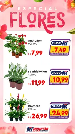 Pré-Visualização do folheto "Ofertas Flores" da loja Komprao Atacadista válido a partir de 04/02/2026