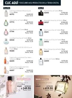 Vista previa las ofertas de la tienda Oriflame - Buen Fin desde el 25/10/2025 | Página: 62