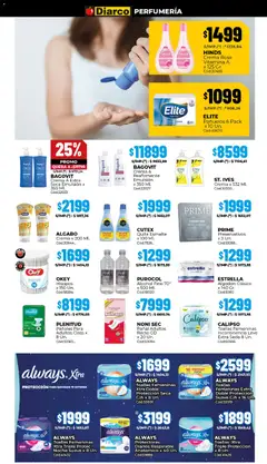 Vista previa del folleto de la tienda Diarco válido desde el 10/11/2025 | Página: 17