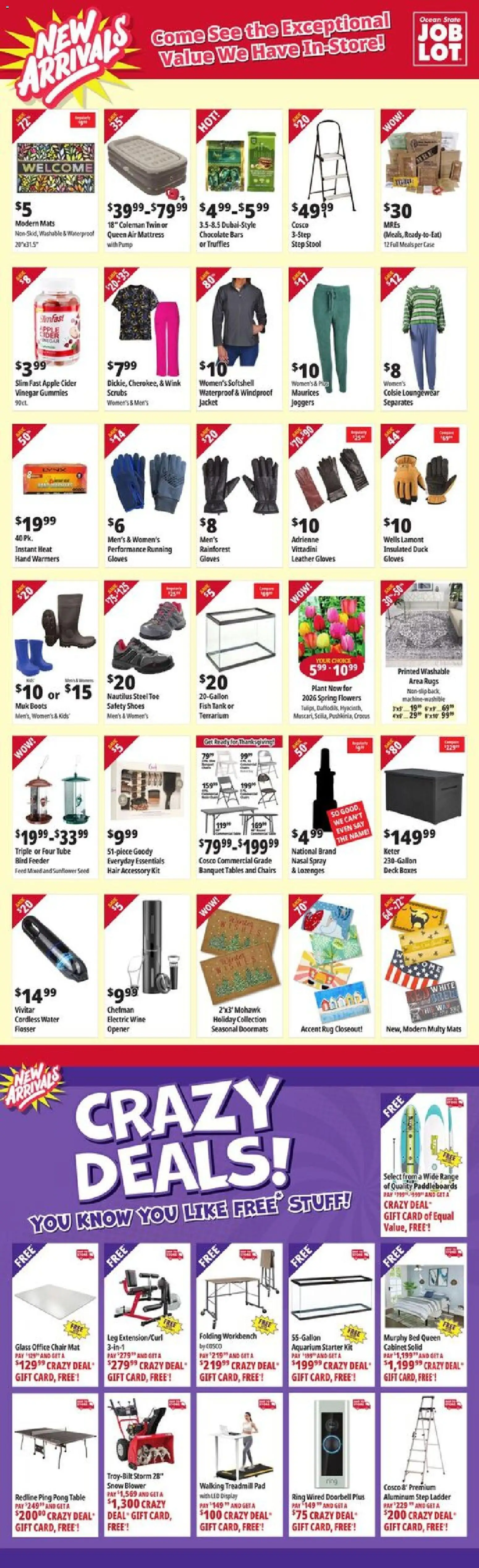 Ad Preview of Ocean State Job Lot New Arrivals from 10/30/2025