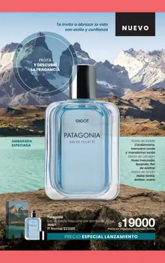 Vista previa del folleto de la tienda Gigot válido desde el 01/10/2025 | Página: 9