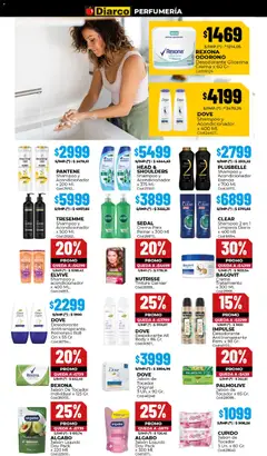 Vista previa del folleto de la tienda Diarco válido desde el 10/11/2025 | Página: 15