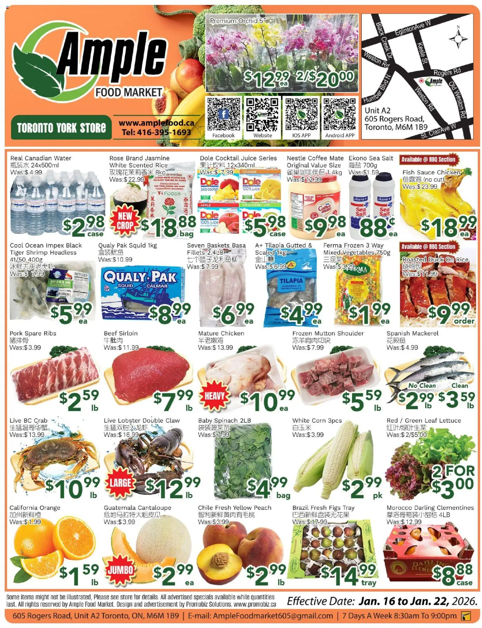 Preview of leaflet Weekly flyer Toronto York from shop Ample Food Market is valid from Jan 16, 2026 - Riz