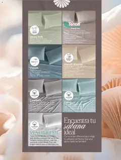 Vista previa las ofertas de la tienda Vianney - Catálogo Primavera desde el 07/03/2025 | Página: 191