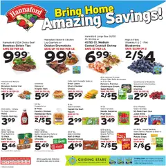 Ad Preview of Hannaford Weekly Ad from 07/20/2025