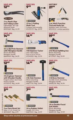 Preview of leaflet 2 Week Sale! from shop Princess Auto is valid from Dec 02, 2025 | Page: 50