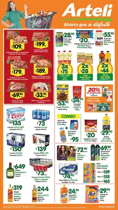 Vista previa las ofertas de la tienda Arteli - Folleto Arteli desde el 22/08/2025 