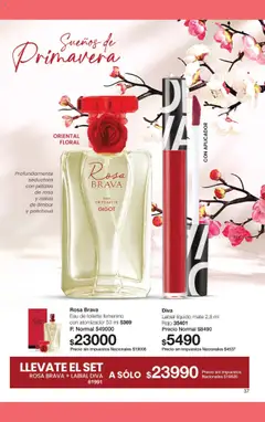 Vista previa del folleto de la tienda Gigot válido desde el 01/10/2025 | Página: 55