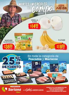 Vista previa las ofertas de la tienda Soriana - Folleto desde el 17/02/2026 