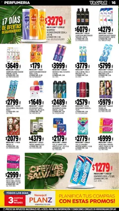 Vista previa del folleto de la tienda Yaguar válido desde el 03/11/2025 | Página: 18