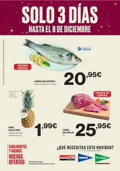 Vista previa las ofertas de la tienda El Corte Inglés - Catálogo desde el 05/12/2025 