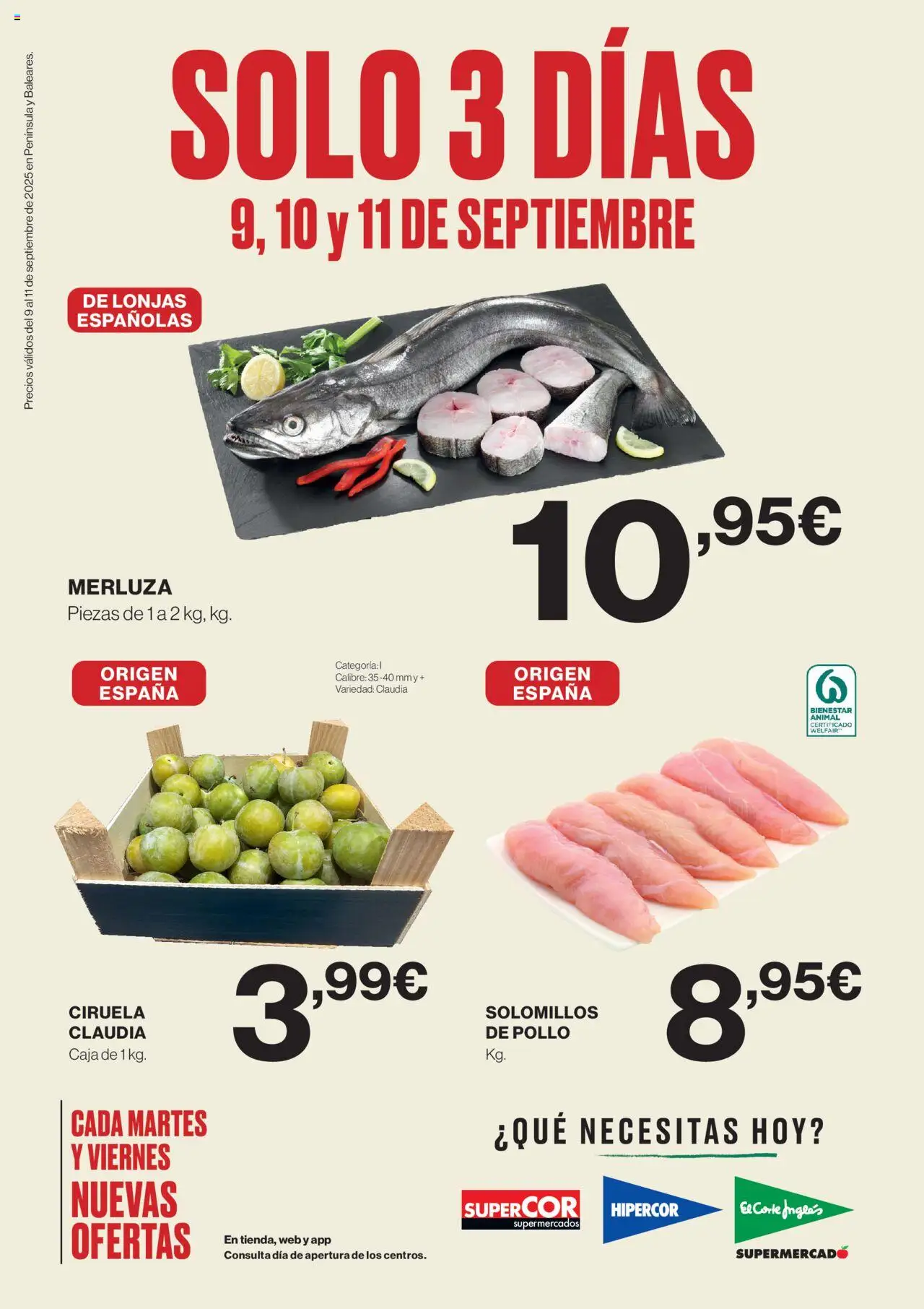 Catálogo El Corte Inglés y sus promociones válidas desde el 09/09/2025 - Número de página 1
