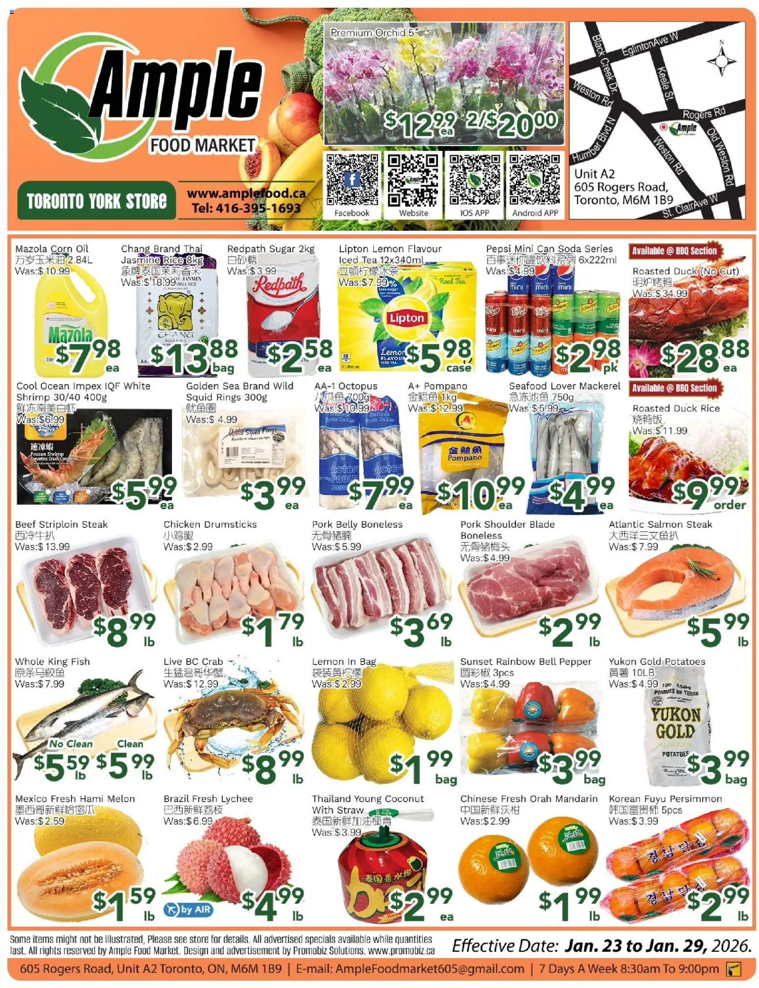 Preview of leaflet Weekly flyer Toronto York from shop Ample Food Market is valid from Jan 23, 2026
