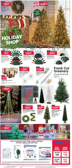 Ad Preview of ACE Hardware Black Friday from 11/01/2025 | Page: 4