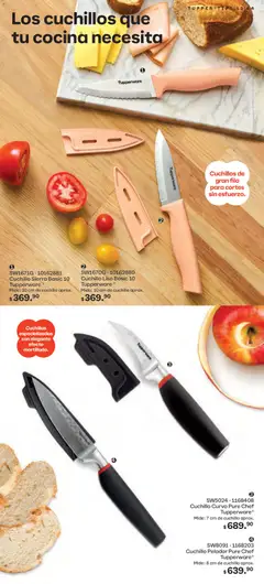 Vista previa las ofertas de la tienda Tupperware - Catálogo desde el 01/12/2025 | Página: 64