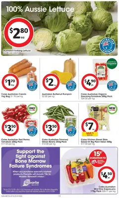 Preview of catalogue Catalogue NSW from shop Coles valid 29/10/2025 | Page: 13