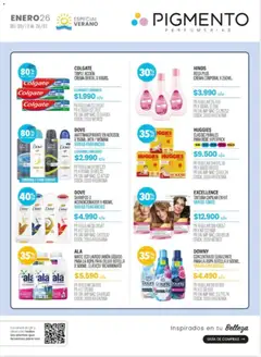 Vista previa del folleto de la tienda Pigmento válido desde el 30/12/2025 