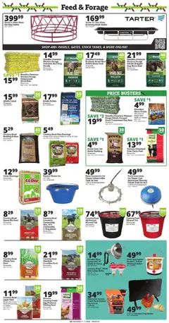 Ad Preview of Rural King Cyber Sale from 12/01/2025 | Page: 6