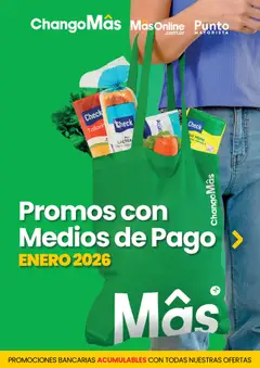 Vista previa del folleto de la tienda Punto Mayorista válido desde el 01/01/2026 