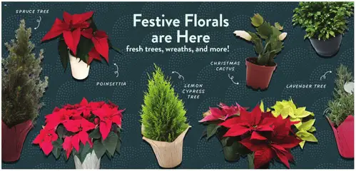 Ad Preview of Fresh Thyme Weekly Ad from 12/10/2025 | Page: 5