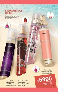 Vista previa del folleto de la tienda Gigot válido desde el 01/01/2026 | Página: 173