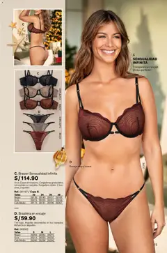 Vista previa de Campaña 17 de la tienda Leonisa válido desde 13/11/2025 | Página : 15