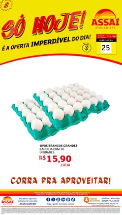 Pré-Visualização do folheto "Encarte - DF" da loja Assaí Atacadista válido a partir de 25/02/2026