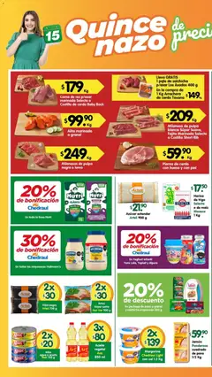 Vista previa las ofertas de la tienda Arteli - Arteli folleto Valles desde el 16/03/2026 