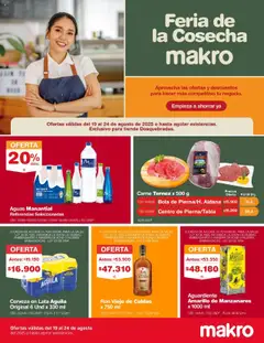  Vista previa del prospecto Catálogo Makro del almacen Makro válida del 19/08/2025 al 24/08/2025