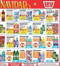 Vista previa las ofertas de la tienda Casa Ley - Folleto Mayoreo desde el 03/11/2025 | Página: 6