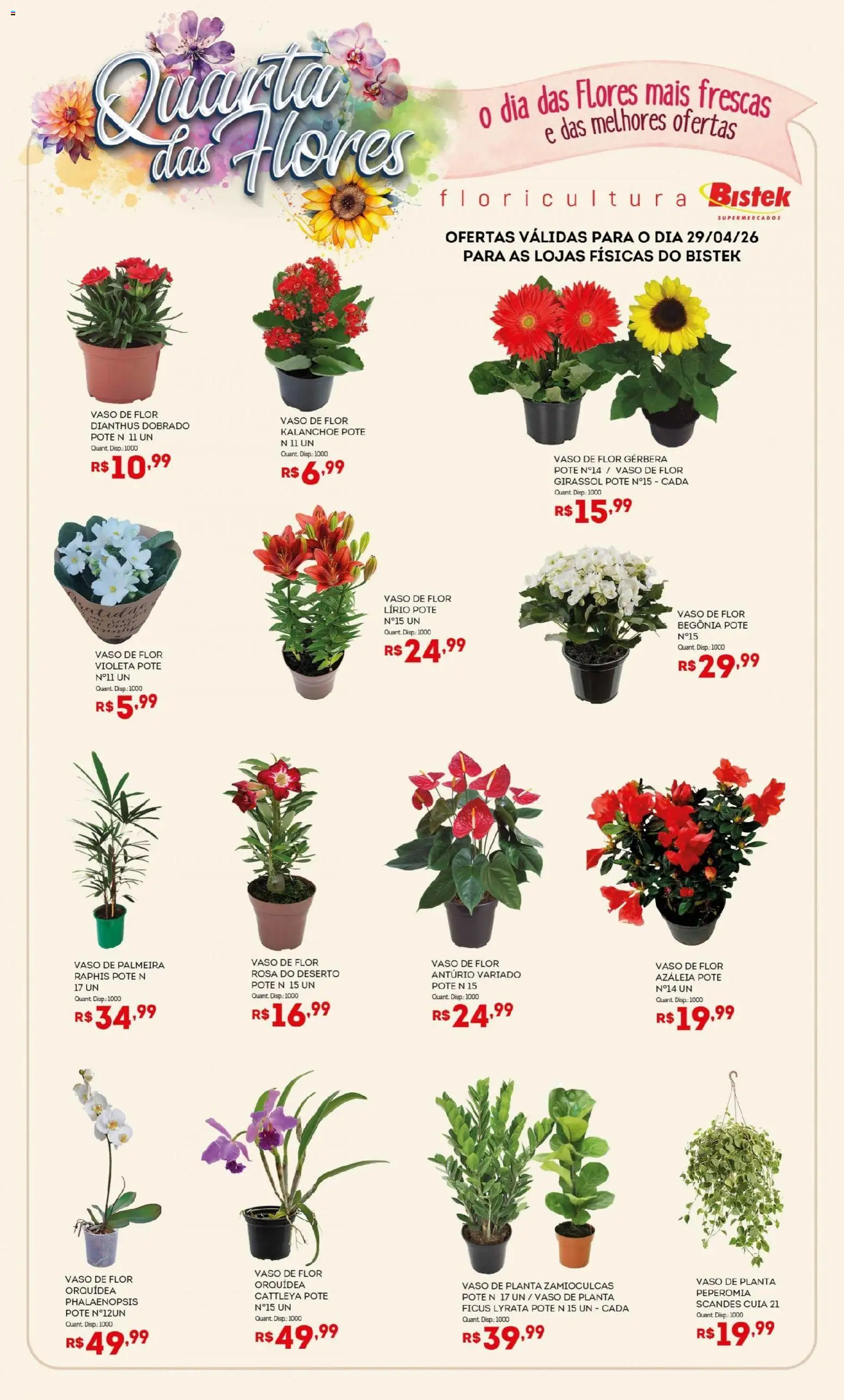 Pré-Visualização do folheto "Bistek Supermercados ofertas Quarta das Flores" da loja Bistek Supermercados válido a partir de 29/04/2026