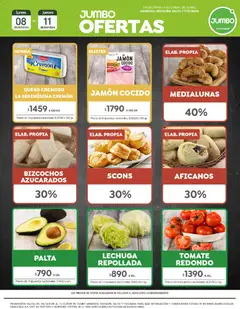 Vista previa del folleto de la tienda Jumbo válido desde el 08/12/2025 