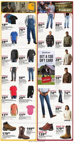 Ad Preview of Rural King Weekly Ad from 10/16/2025 | Page: 8