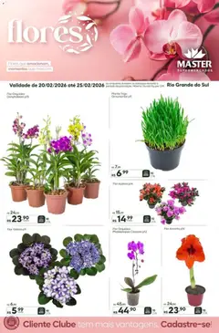 Pré-Visualização do folheto "FLORES" da loja Master válido a partir de 20/02/2026