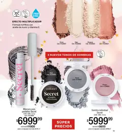 Vista previa del folleto de la tienda Millanel válido desde el 10/11/2025 | Página: 13