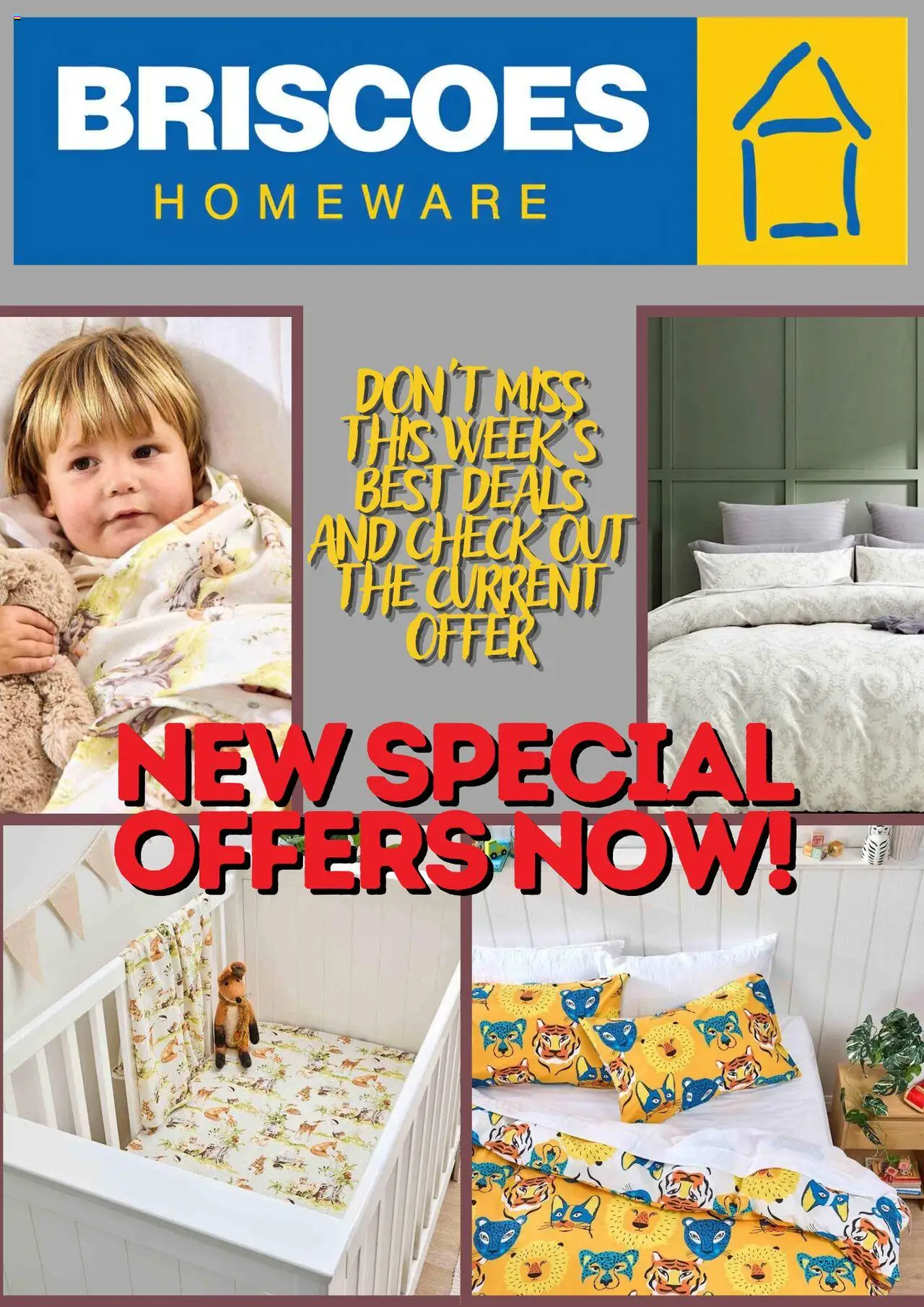 Catalogue Briscoes catalogue valid from 22 Jul 2025 - page 1