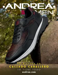 Vista previa las ofertas de la tienda Andrea - Catálogo Calzado Caballero desde el 25/01/2026 