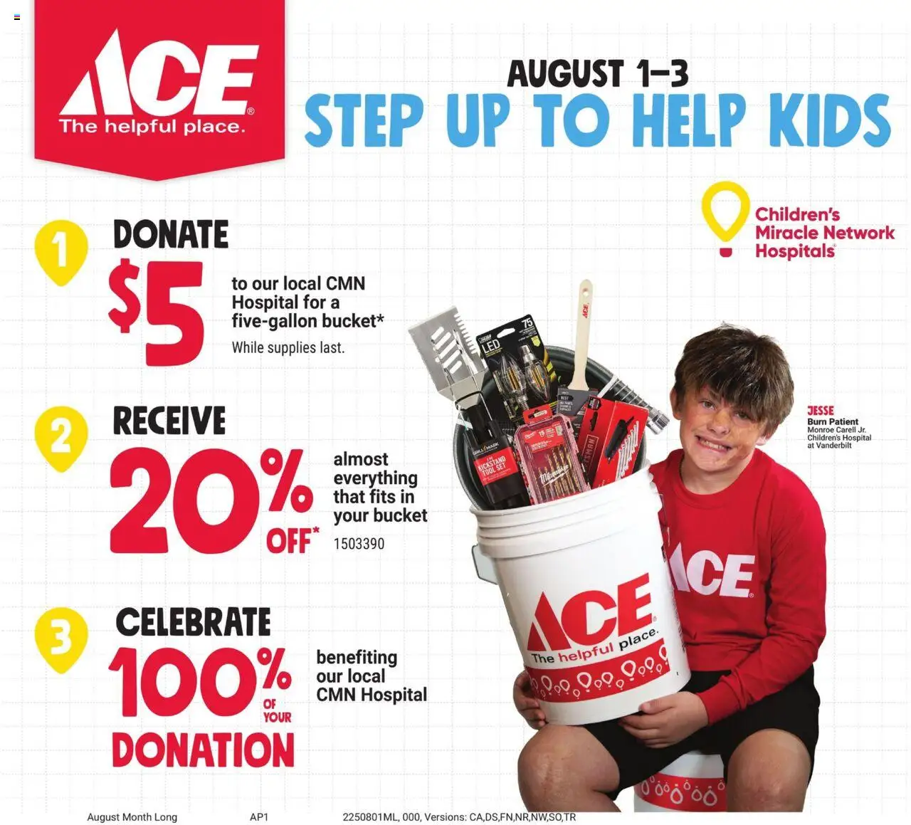 ACE Hardware Corporate Ad from 08/01/2025 - Flyer - Page number 1