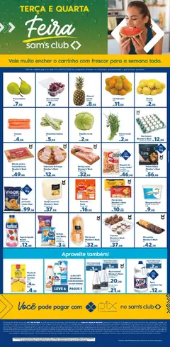 Pré-Visualização do folheto "Ofertas Feira" da loja Sam's Club válido a partir de 07/10/2025