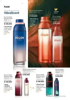  Vista previa del prospecto Catálogo C16/2025 del almacen Natura válida del 13/11/2025 al 31/12/2025 | Página : 73