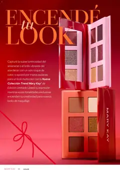 Vista previa del folleto de la tienda Mary Kay válido desde el 03/12/2025 | Página: 46