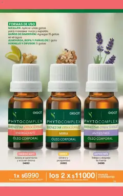 Vista previa del folleto de la tienda Gigot válido desde el 01/11/2025 | Página: 73