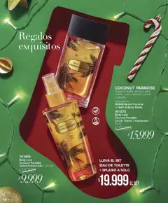 Vista previa del folleto de la tienda Violetta válido desde el 30/10/2025 | Página: 17