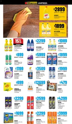 Vista previa del folleto de la tienda Diarco válido desde el 01/12/2025 | Página: 19