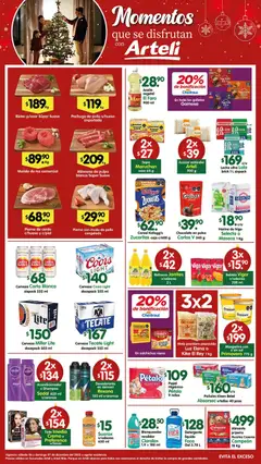 Vista previa las ofertas de la tienda Arteli - Folleto desde el 06/12/2025 