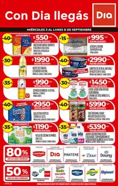 Vista previa del folleto de la tienda Dia válido desde el 03/09/2025 