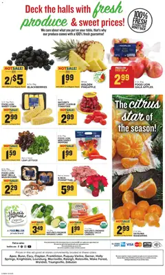 Ad Preview of Food Lion Weekly Ad from 12/10/2025 | Page: 15