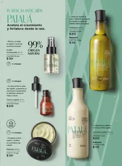 Vista previa las ofertas de la tienda Natura - Campaña 17 2025 desde el 22/11/2025 | Página: 133
